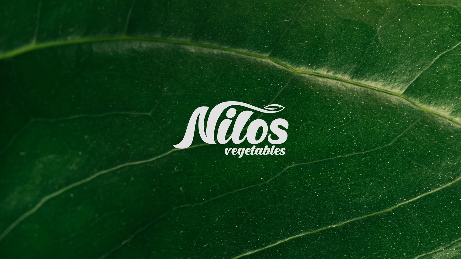 Nilos — FMCG campaign by BRANDIZER, image 1
