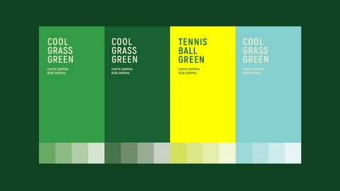 Good Springs — FMCG project by BRANDIZER