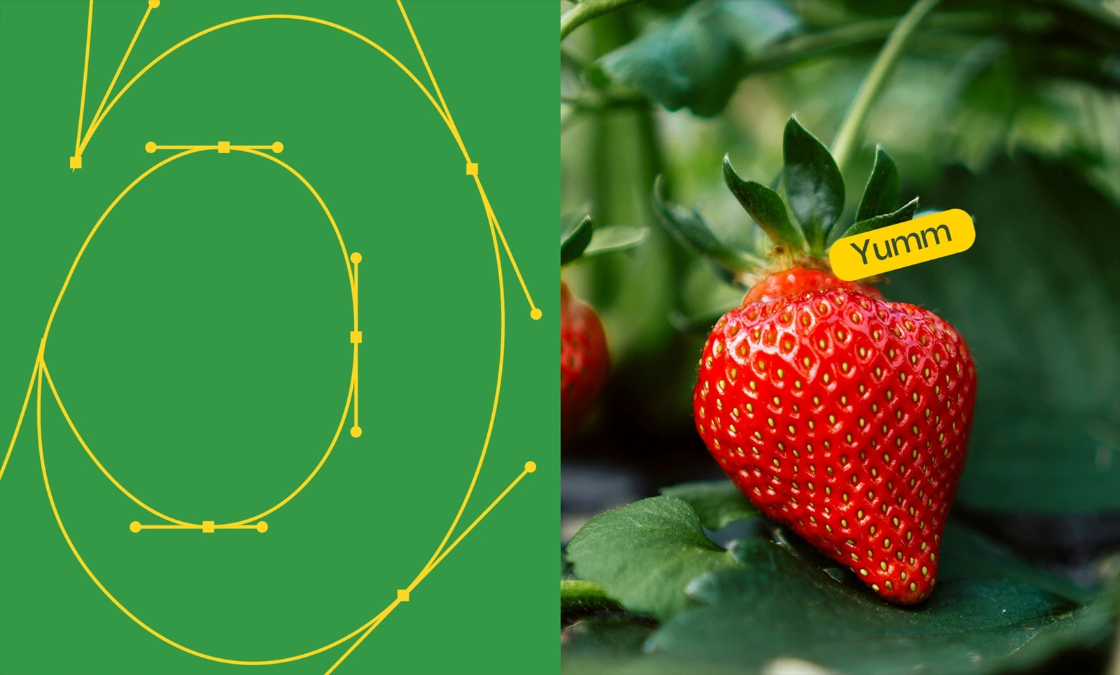 GB Farms - Branding — FMCG campaign by BRANDIZER, image 13