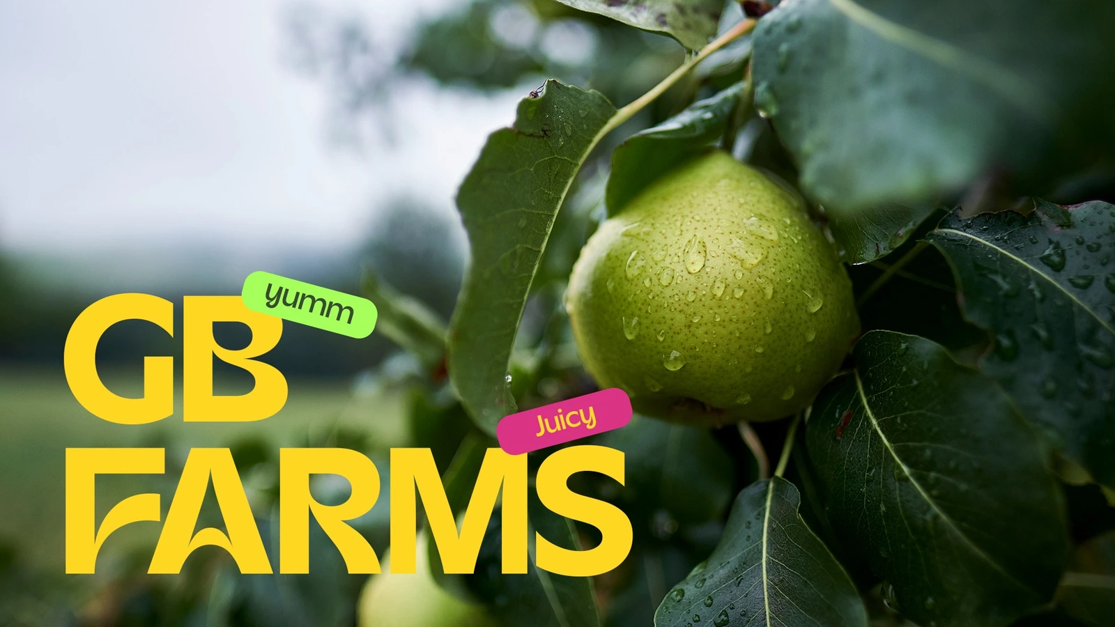 GB Farms - Branding — FMCG campaign by BRANDIZER, image 14