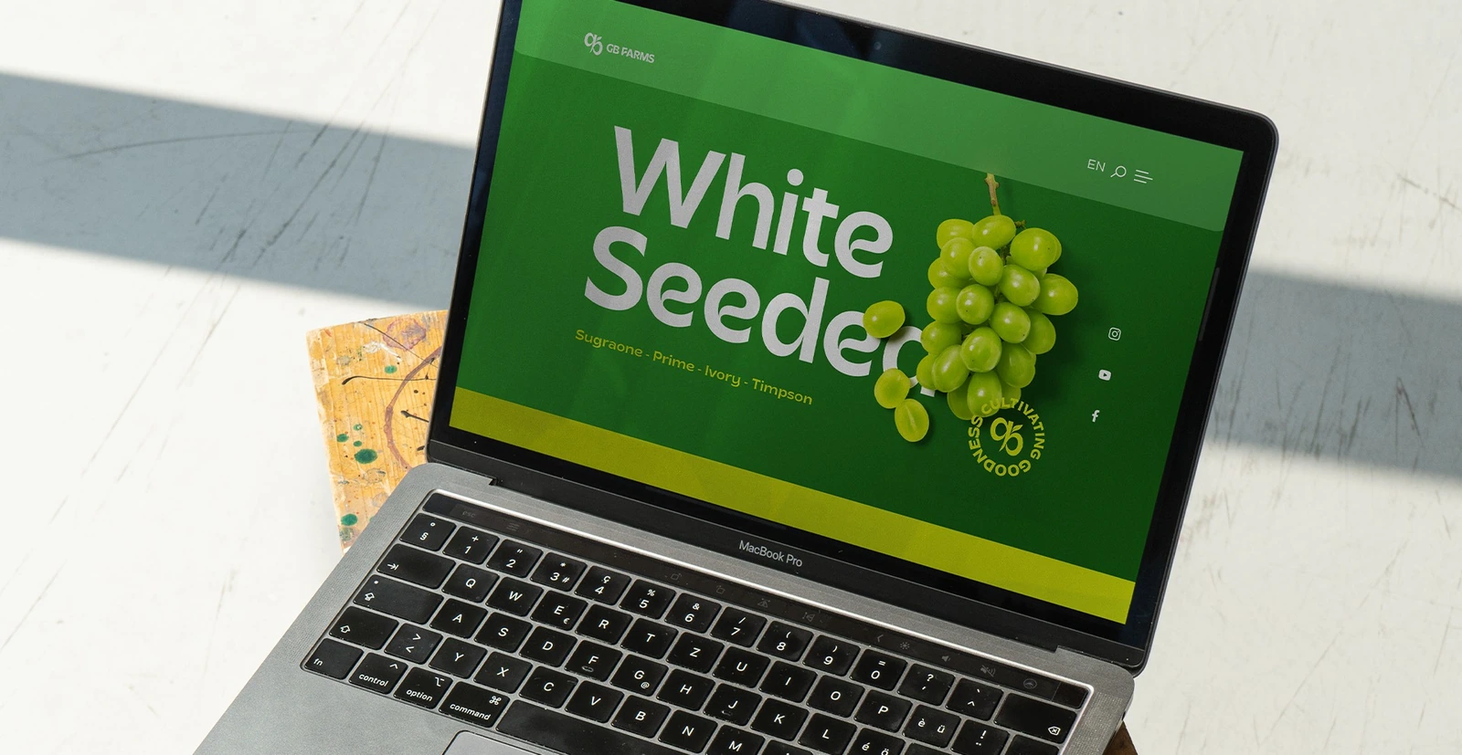 GB Farms - Branding — FMCG campaign by BRANDIZER, image 21