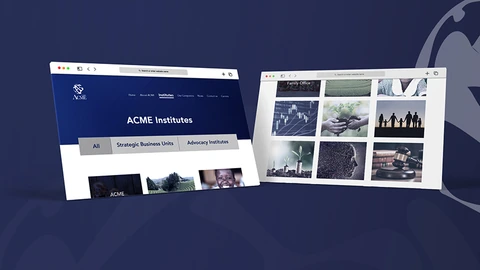 ACME - Website Design — Corporates project by BRANDIZER