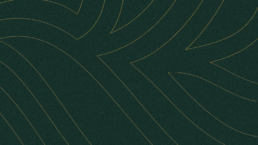 Roots — FMCG campaign by BRANDIZER, image 9