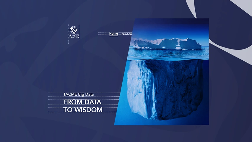 ACME - Website Design — Corporates campaign by BRANDIZER, image 5