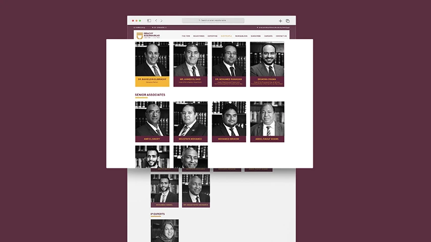 Ibrachy & Dermarkar - Website — Corporates campaign by BRANDIZER, image 4