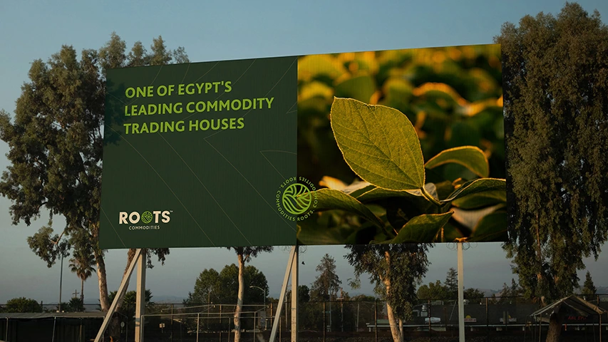 Roots — FMCG campaign by BRANDIZER, image 12