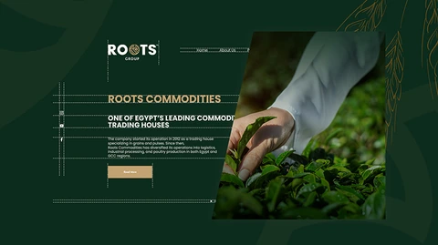 Roots — FMCG project by BRANDIZER