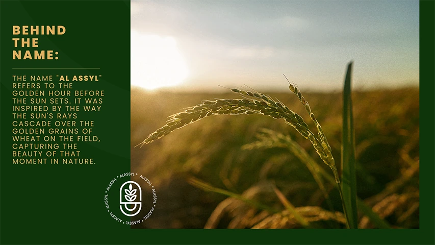 Al Assyl Group - Rebranding — FMCG campaign by BRANDIZER, image 13