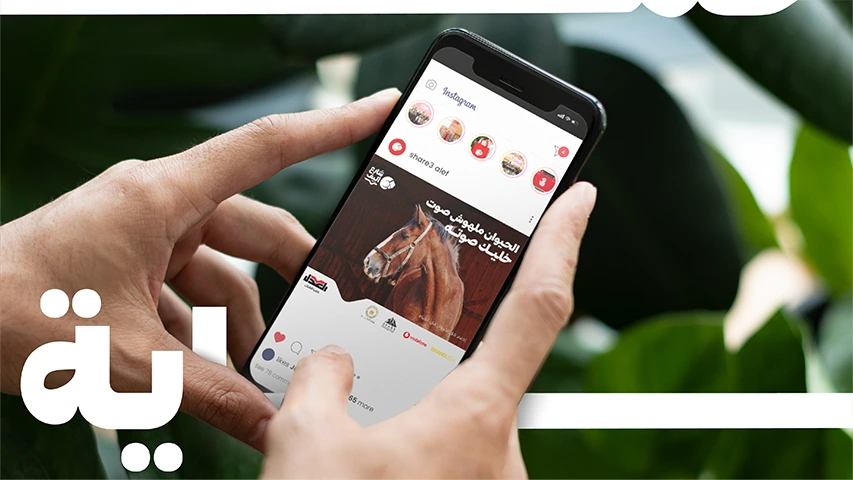 Share3 Aleef — NGO campaign by BRANDIZER, image 13