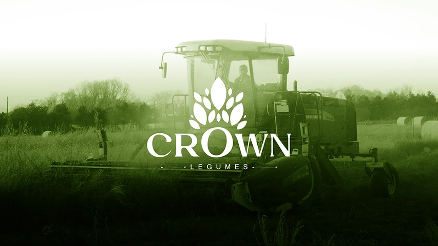 Crown — FMCG campaign by BRANDIZER, image 1