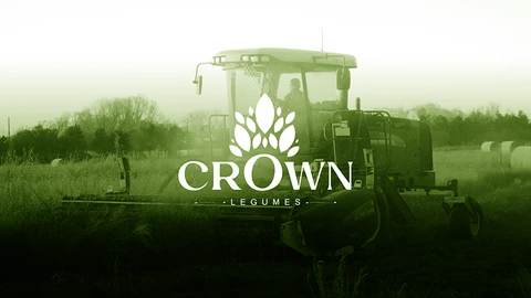 Crown — FMCG project by BRANDIZER