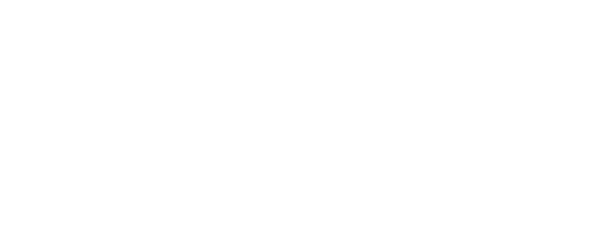 BRANDIZER — Energizing Brands