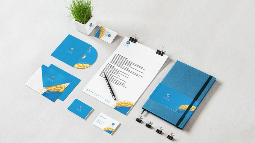 Ministry of Supply — Government campaign by BRANDIZER, image 26