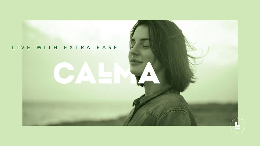 Calma — Real Estate campaign by BRANDIZER, image 8