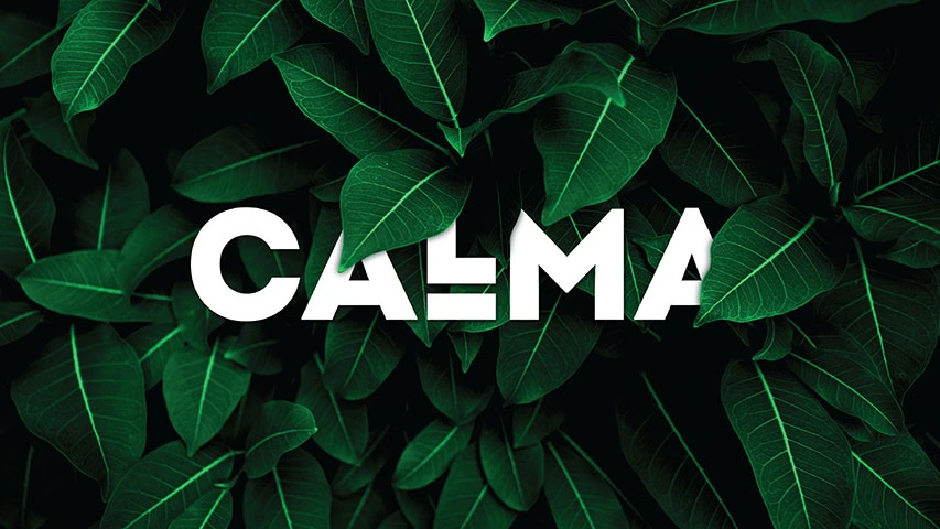 Calma — Real Estate campaign by BRANDIZER, image 1