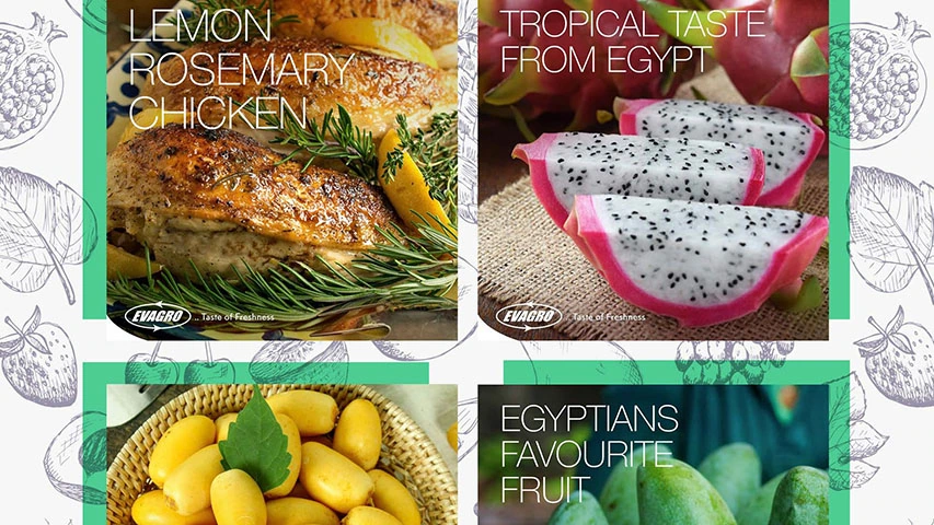Evagro — Agriculture campaign by BRANDIZER, image 8