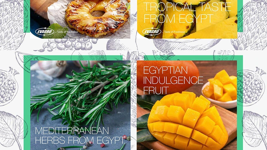 Evagro — Agriculture campaign by BRANDIZER, image 3