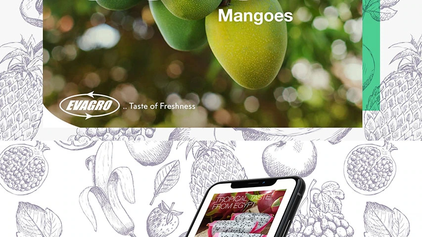 Evagro — Agriculture campaign by BRANDIZER, image 15