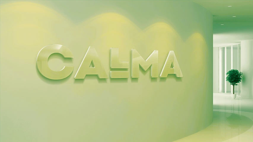 Calma — Real Estate campaign by BRANDIZER, image 16