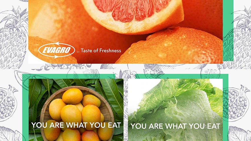 Evagro — Agriculture campaign by BRANDIZER, image 12