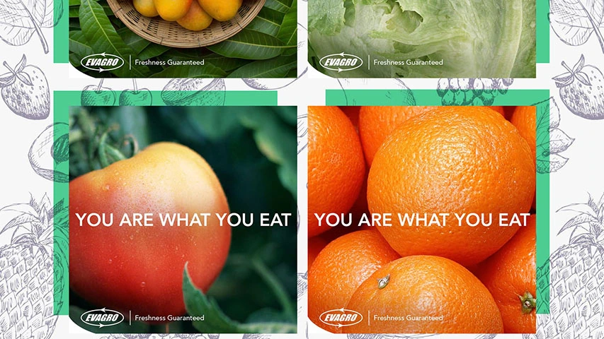 Evagro — Agriculture campaign by BRANDIZER, image 13