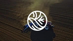 ROOTS Group - Branding